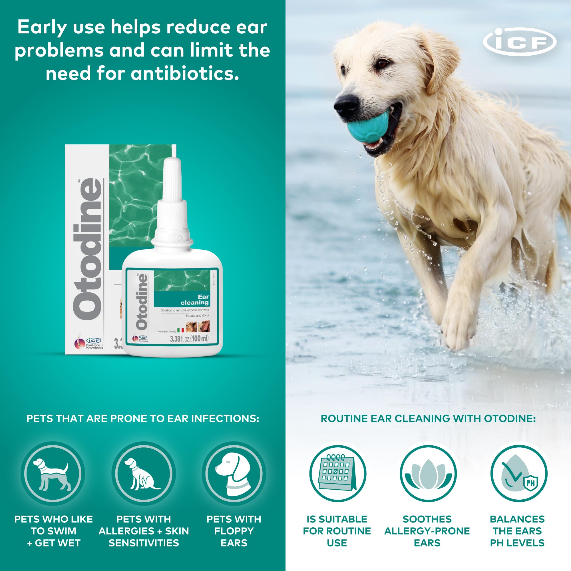 ICF Otodine deep canal flush reaching deep into the ear.