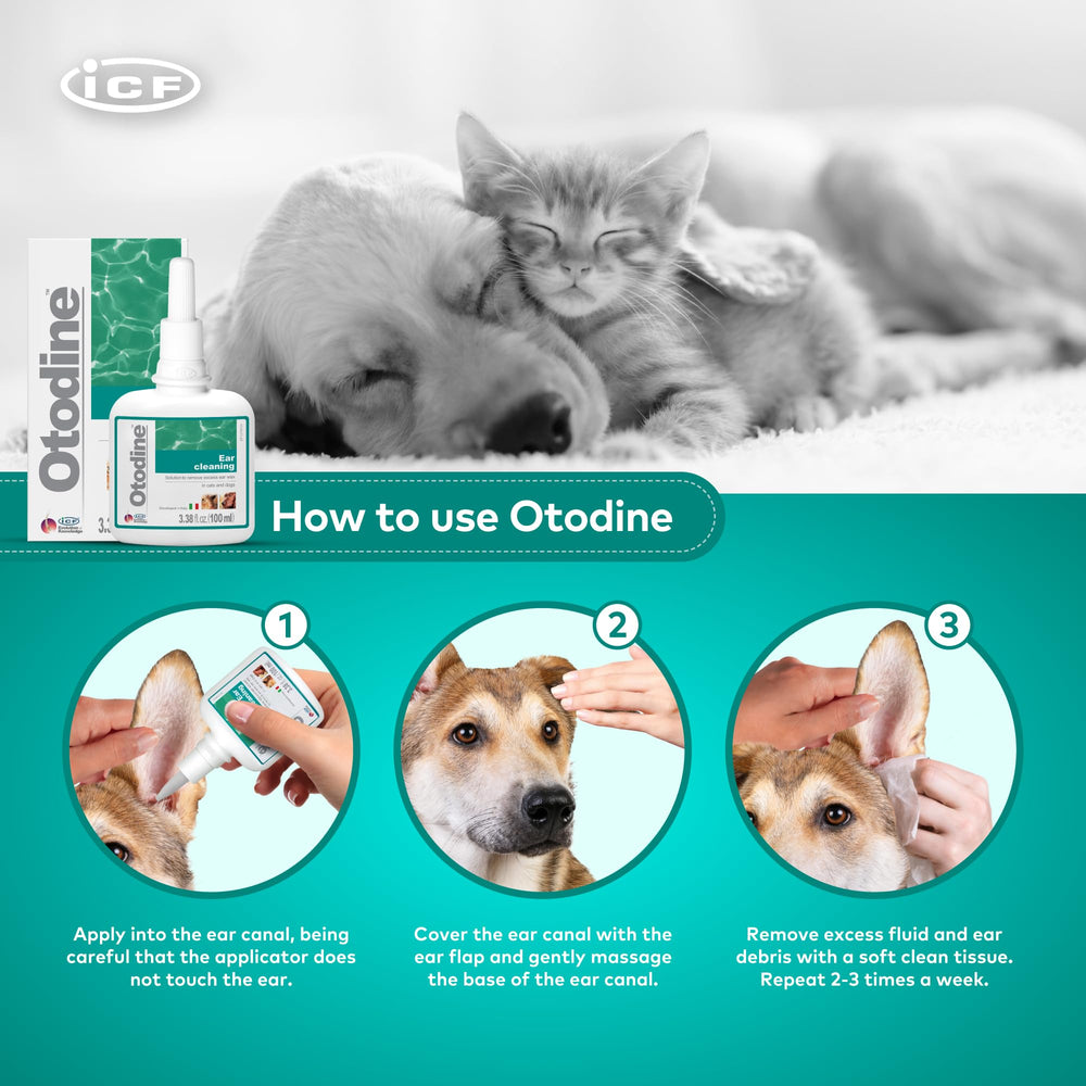 ICF Otodine liquid flush actively cleaning the ear canal.