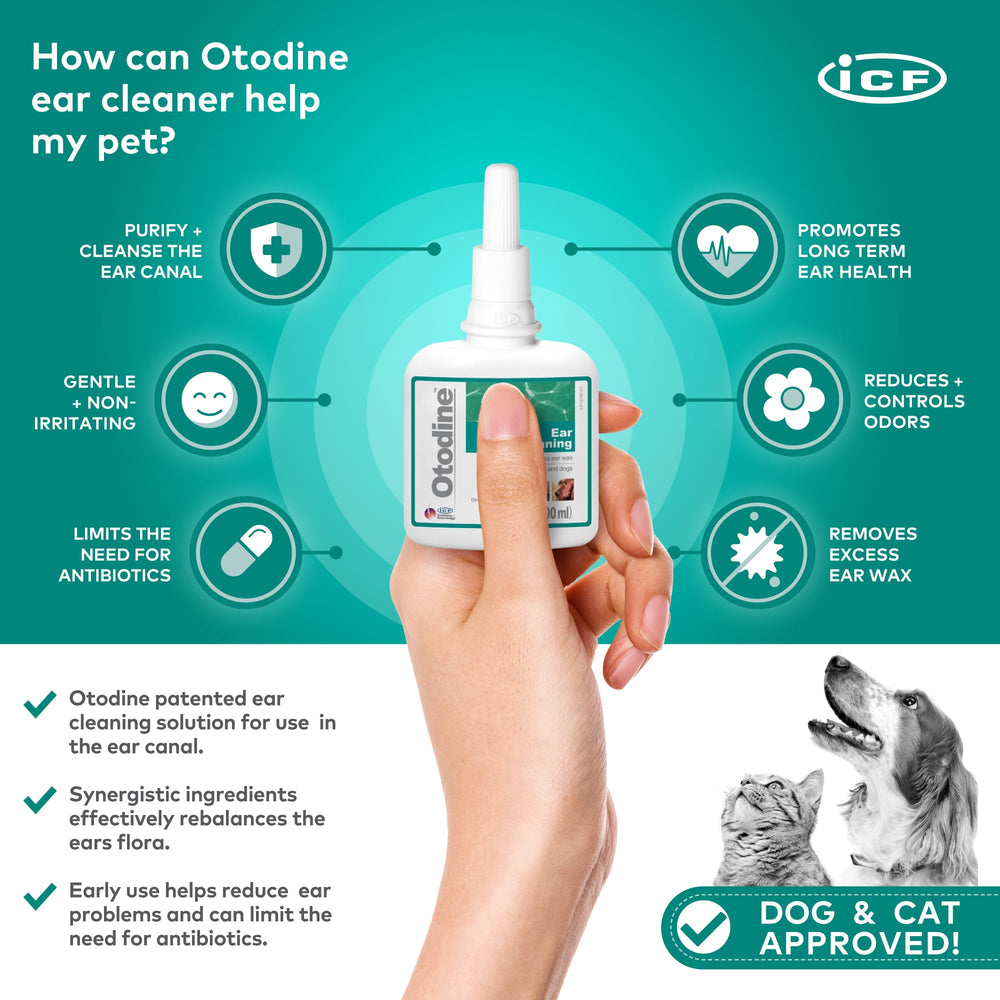 ICF Otodine nozzle dispensing drops for precise application.