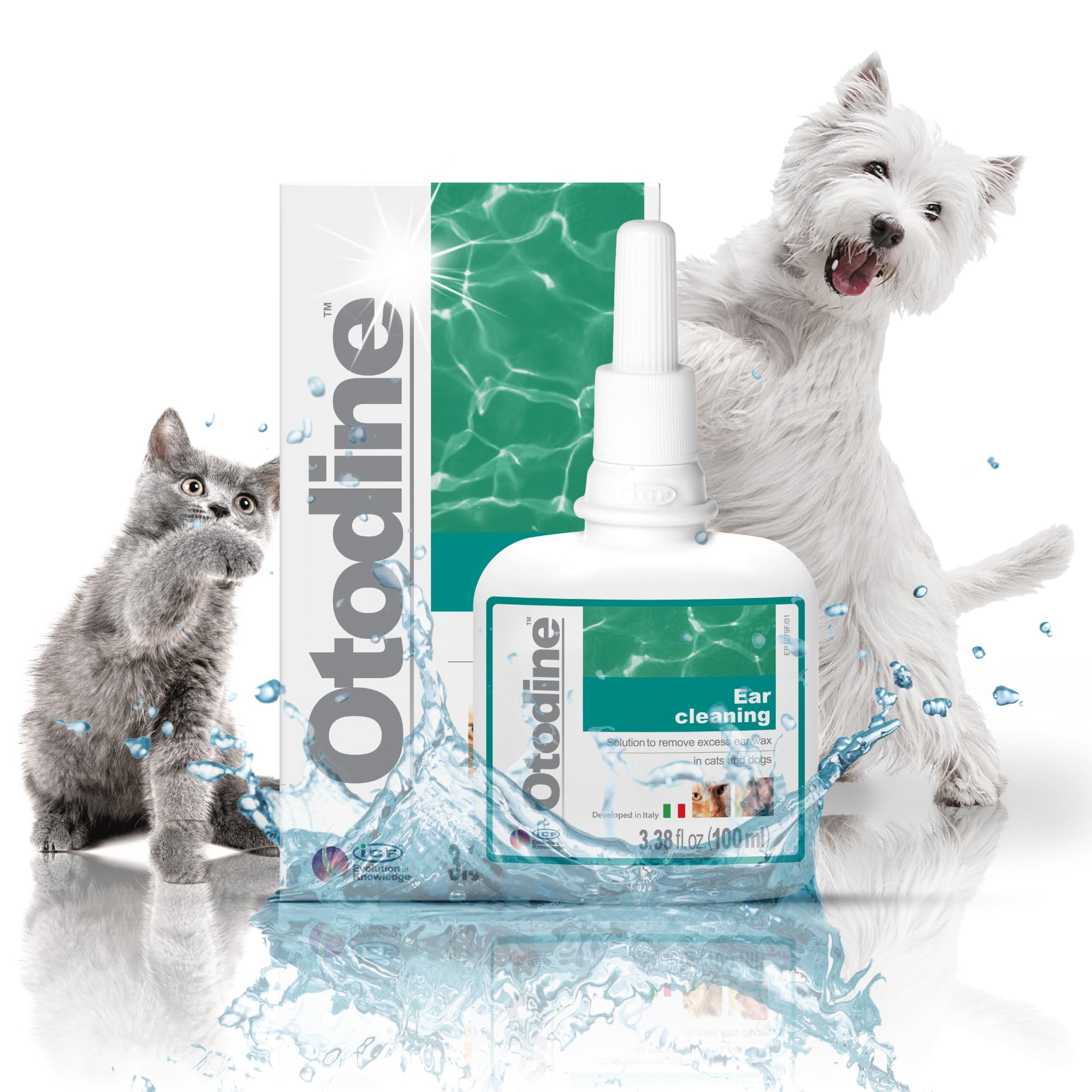 ICF Otodine puppy ear-cleaning maintenance routine.