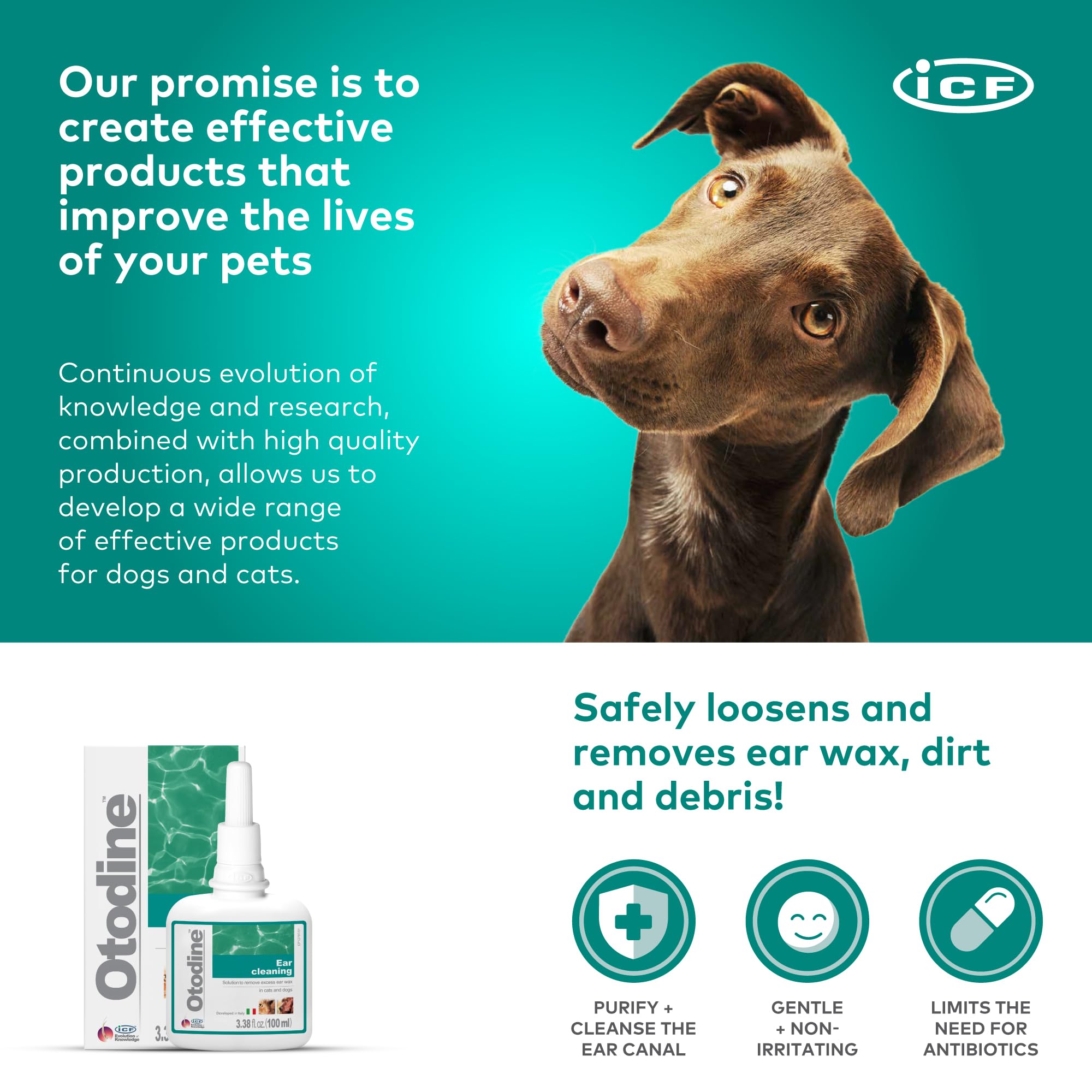 ICF Otodine safe for dogs, cats, and puppies in a family setting.