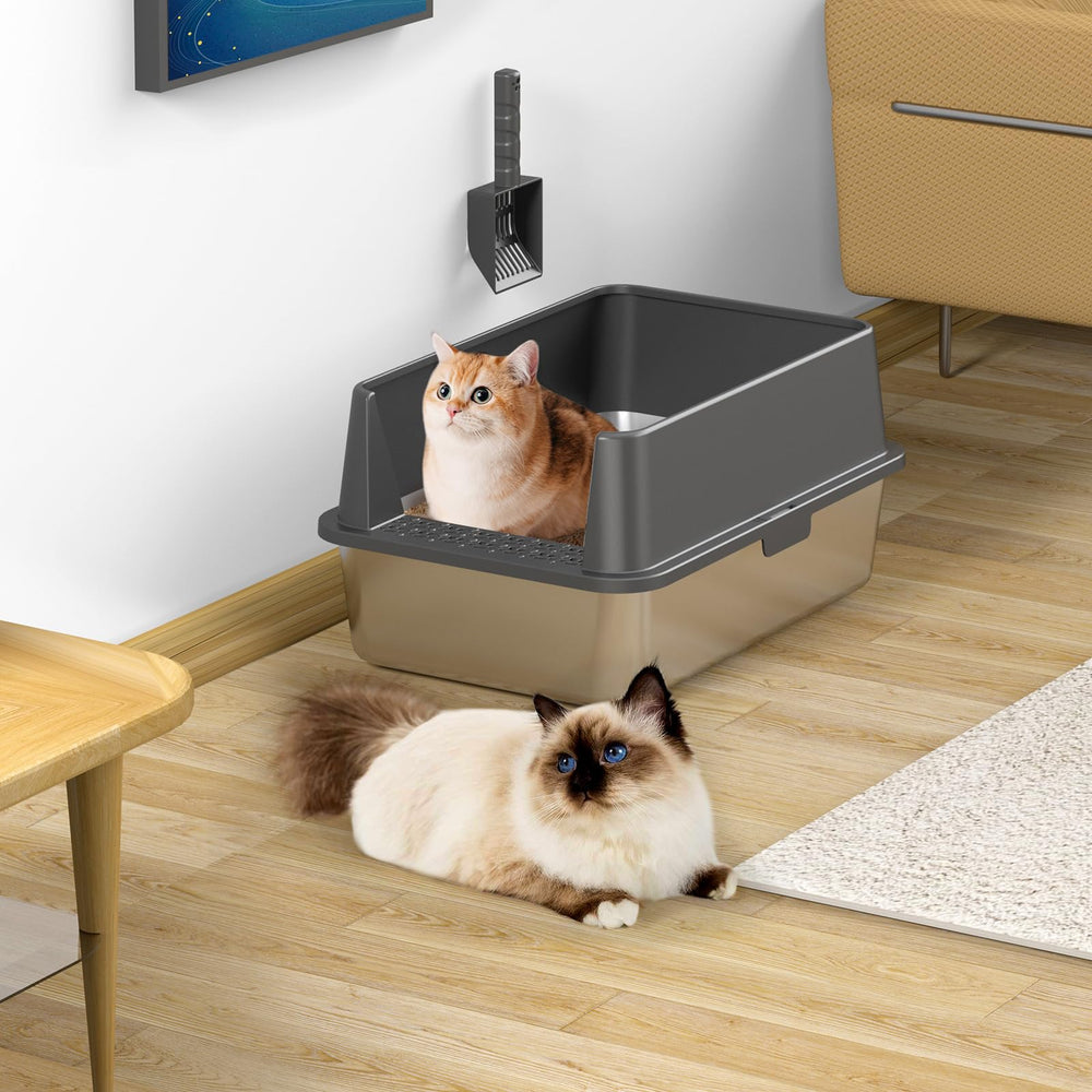 ICYAIR dimensions 23.8 by 16 by 12 inches fit tight spaces.