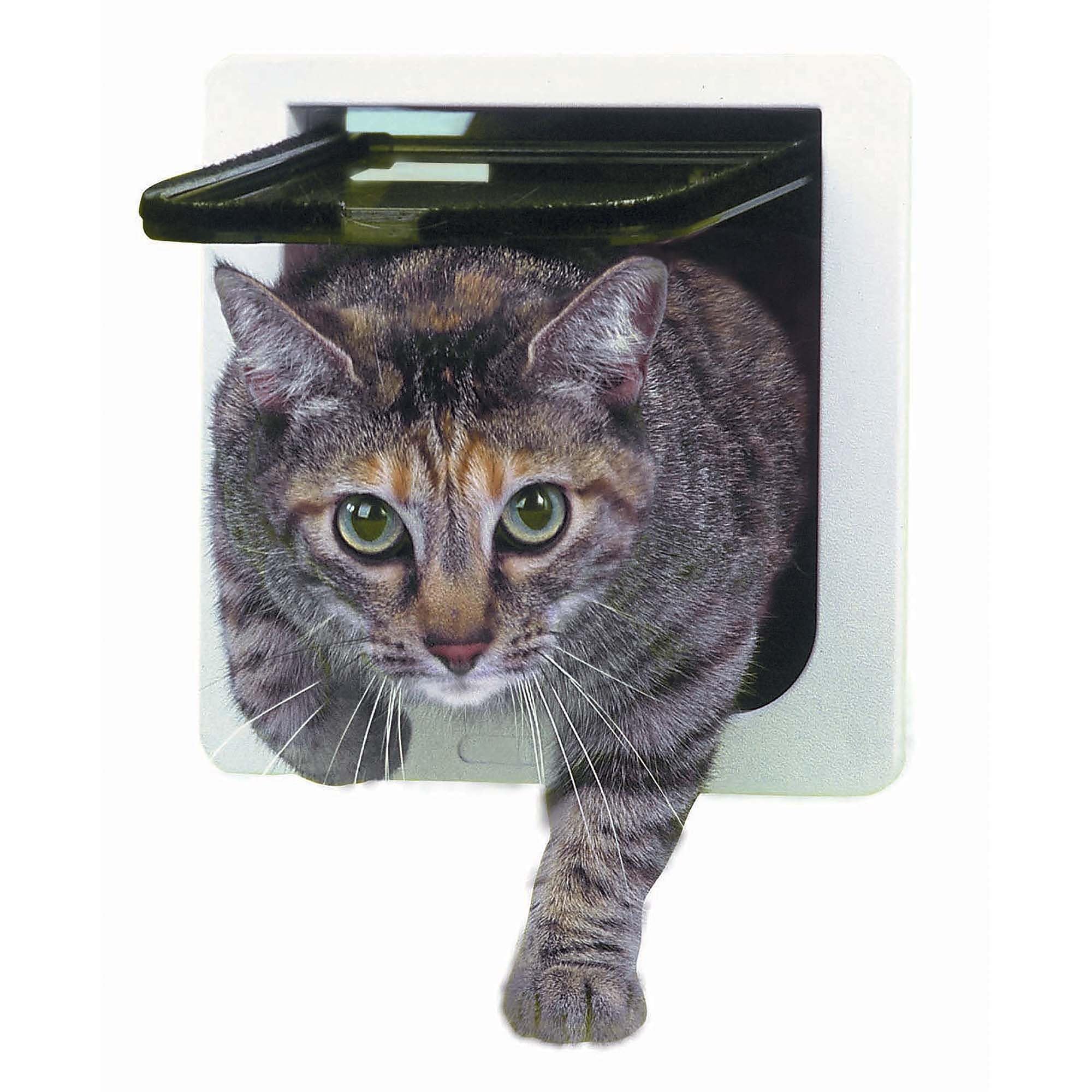 Ideal Pet Products cat flap door with four-way lock secures access when needed.