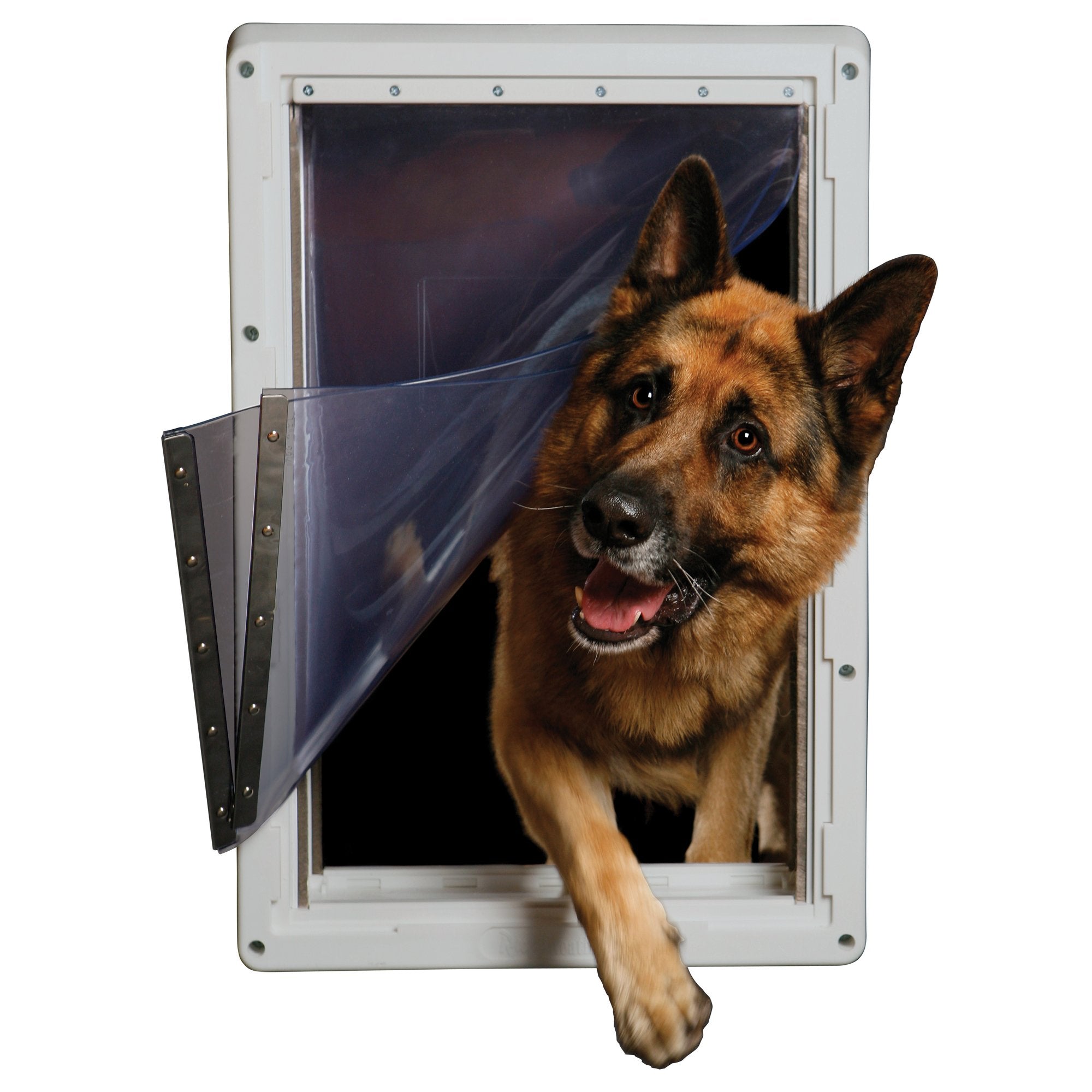 Door installation demonstrates secure mounting in a standard doorway.