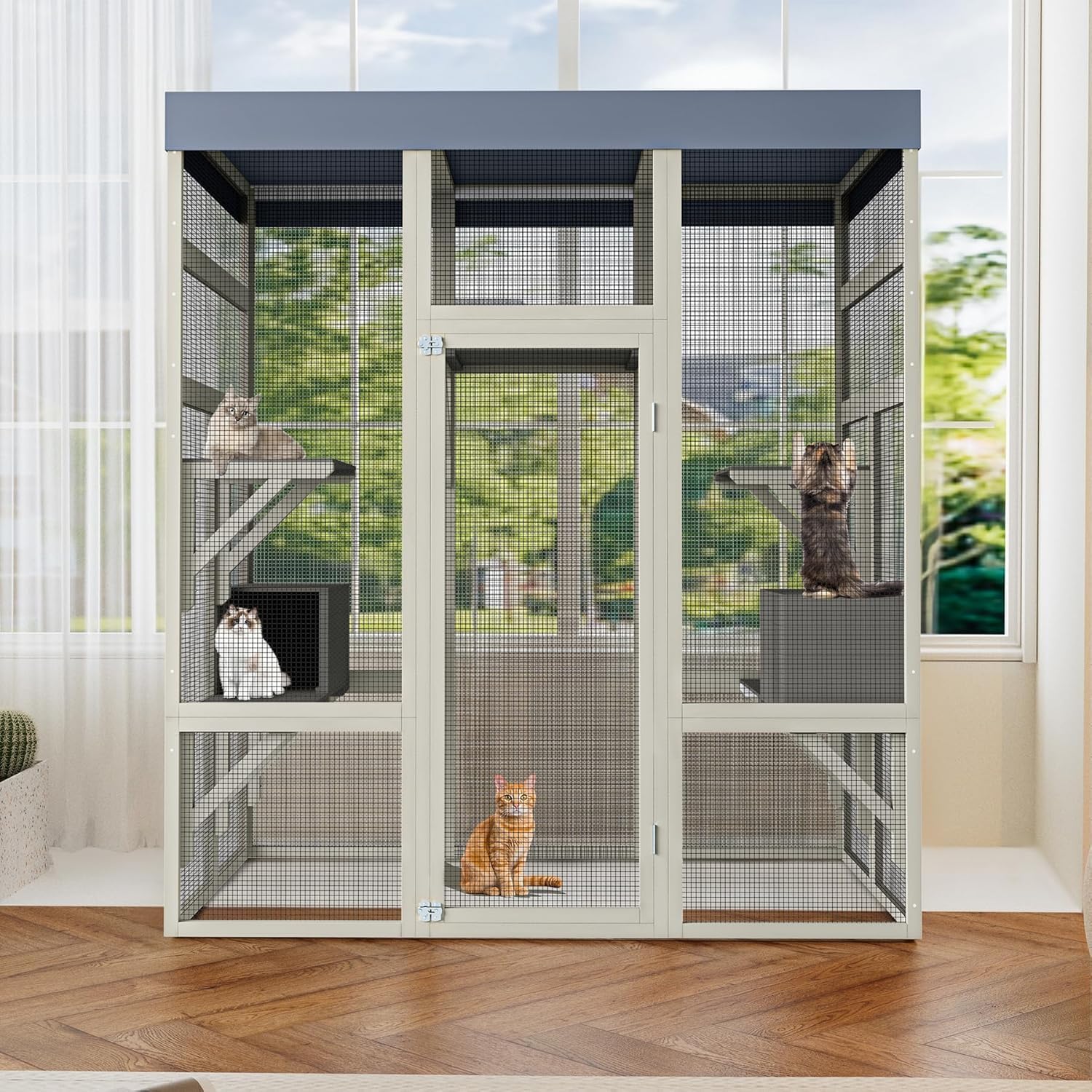 IDEALHOUSE cedar frame catio highlights natural warmth and durability outdoors