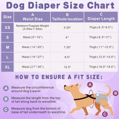 Idepet adjustable suspenders ensure a secure fit on small to medium dogs
