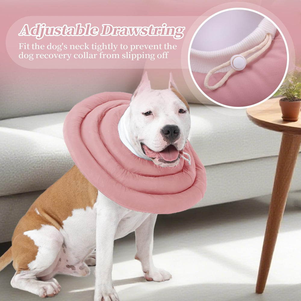 IDOMIK dog cone size chart helps fit small to large breeds