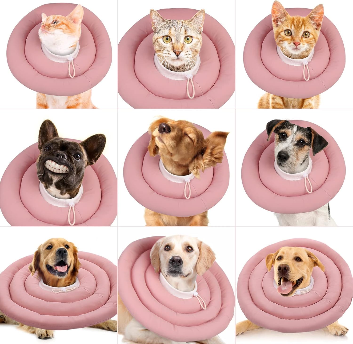 IDOMIK dog recovery collar suitable for home use during recovery