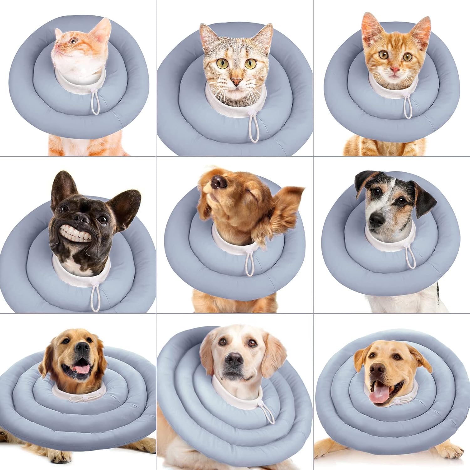 IDOMIK Dog Recovery Collar cat compatibility note for versatility