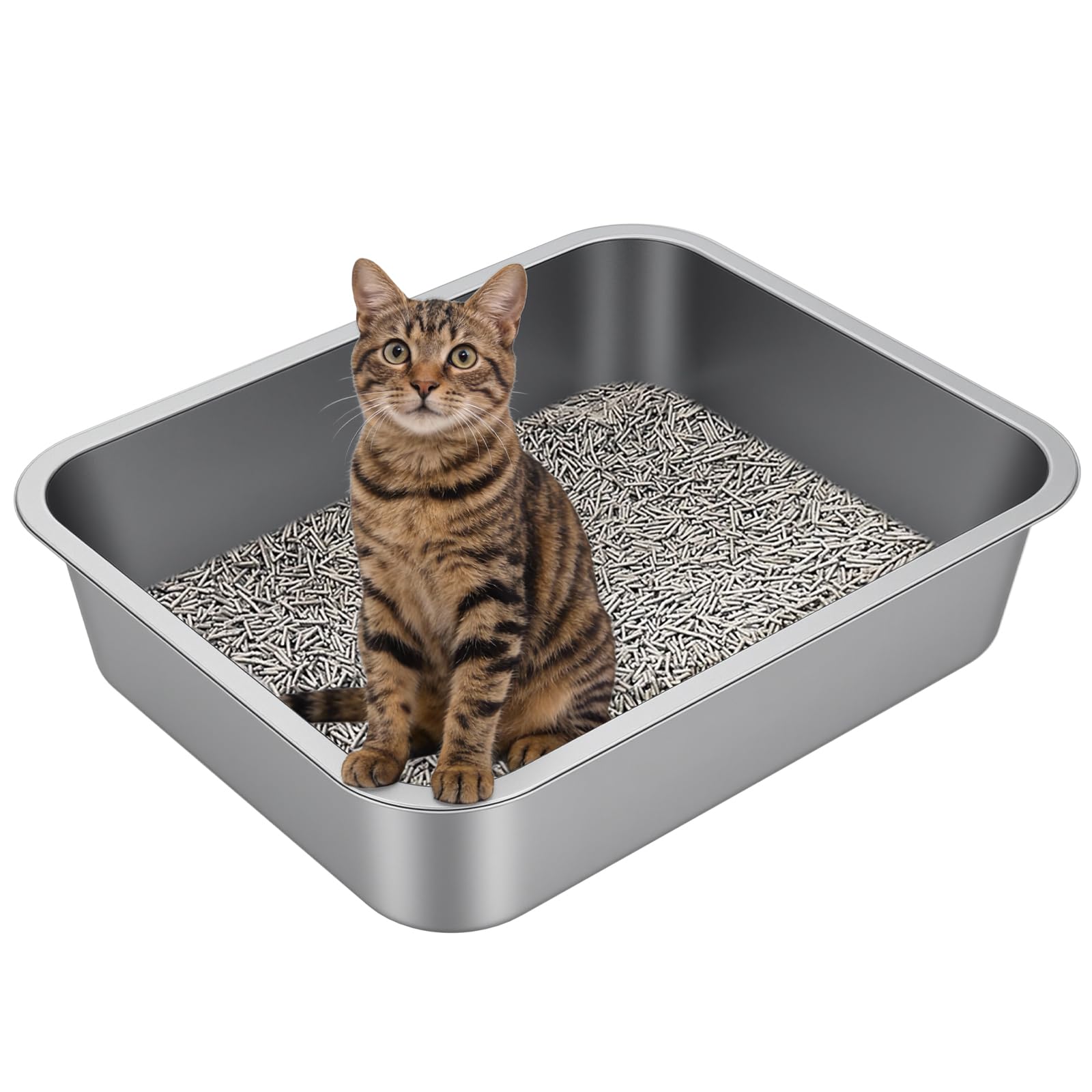Idymere large stainless steel litter box top view shows roomy interior for multiple cats.