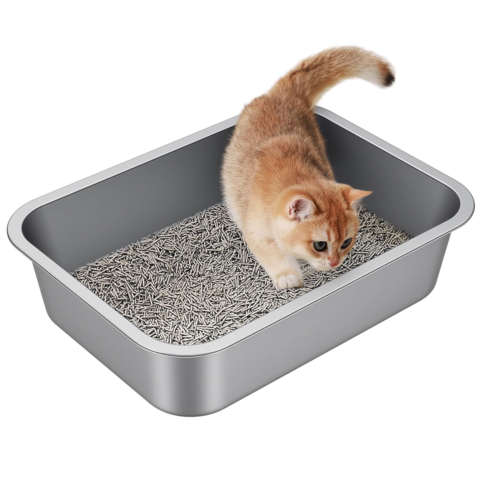 Idymere open-top stainless steel litter box ideal for kittens and small cats.