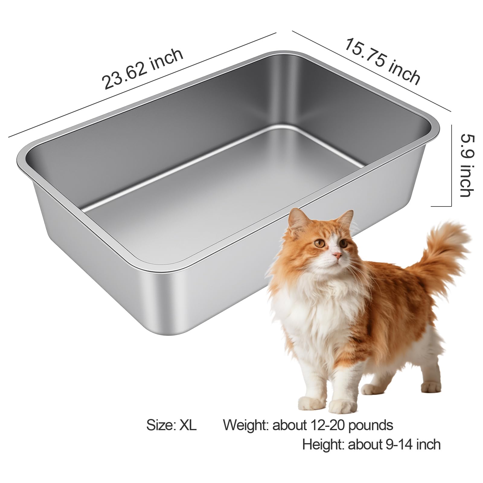 Idymere X-Large stainless steel litter box high sides contains litter and reduces scatter