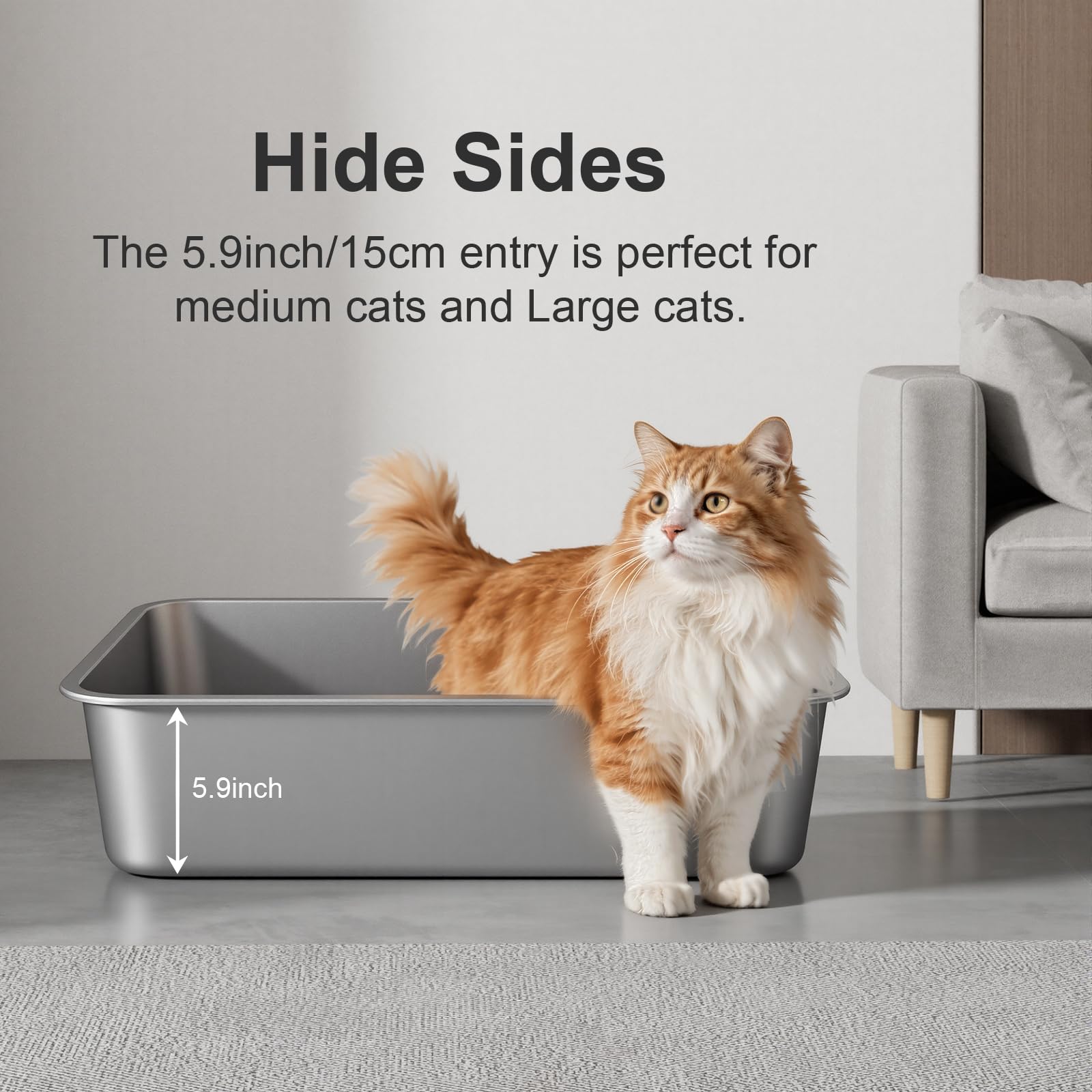 Idymere multi-cat capable litter box supports several pets with versatility