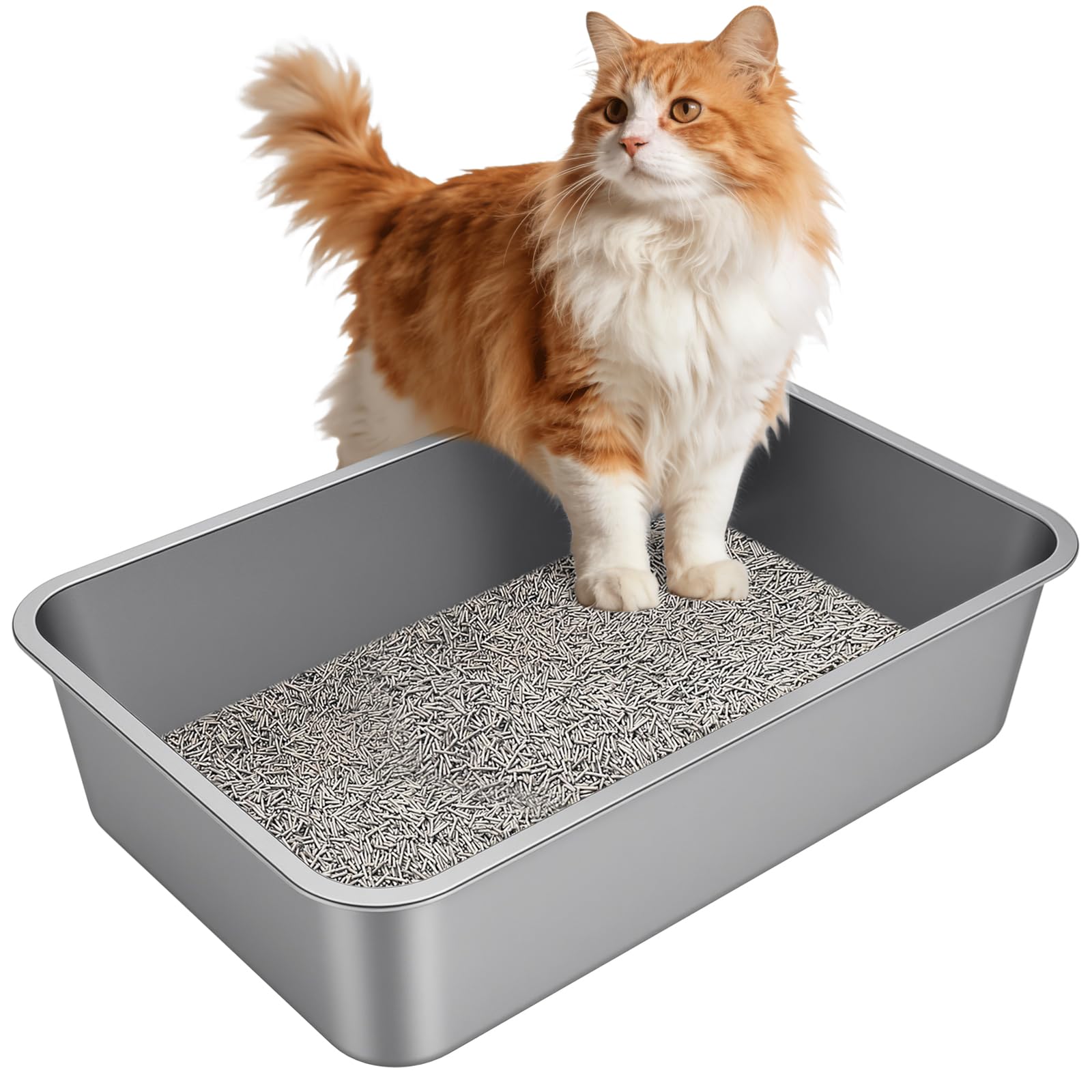 Idymere X-Large stainless steel litter box with open design promotes air circulation and odor control