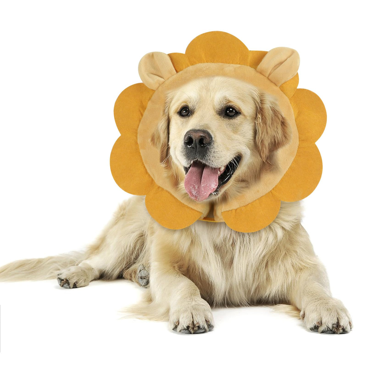 IEUUMLER inflatable recovery collar EU002 in brown lion M protects surgical area.