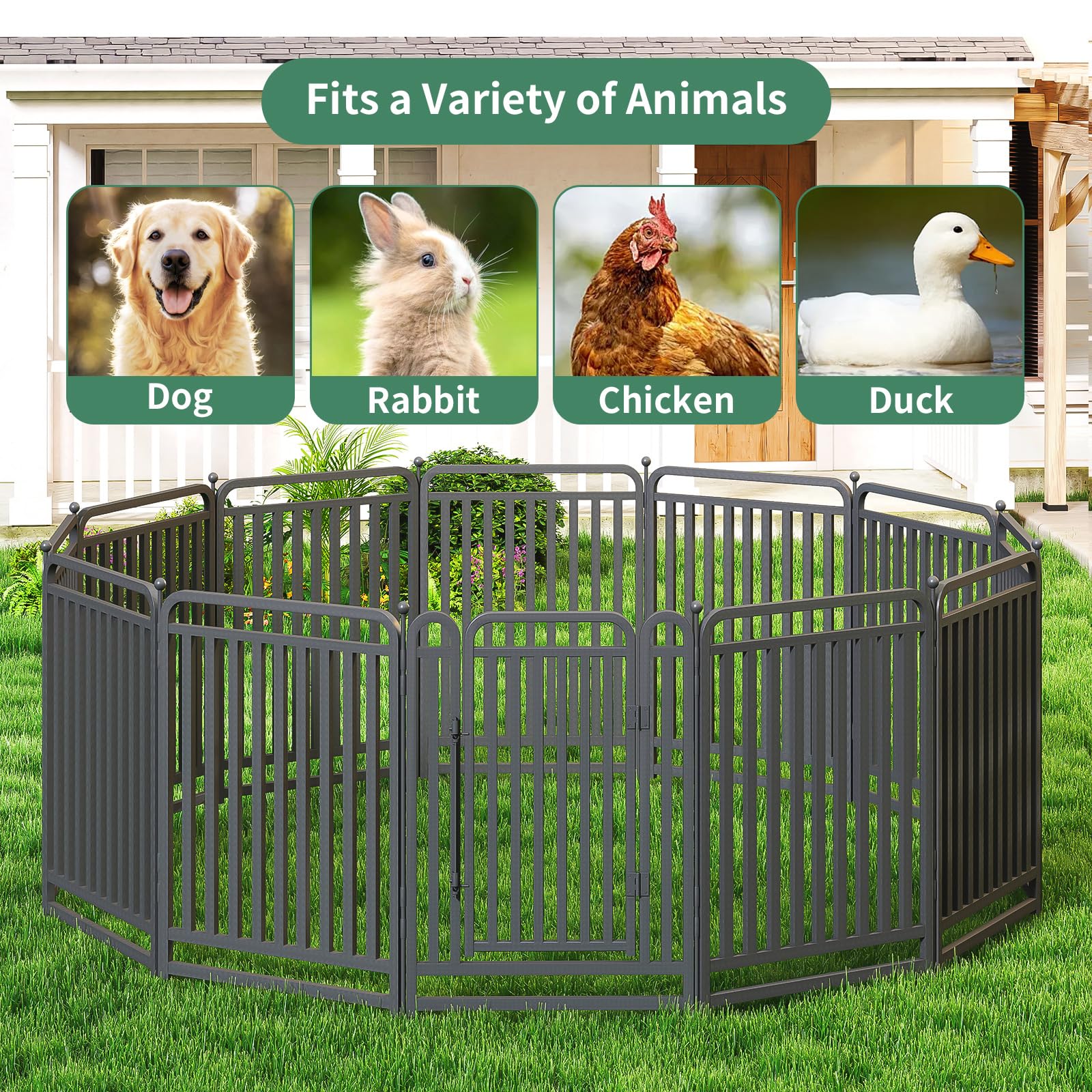 IGNYX RV camping ready for portable puppy fencing.