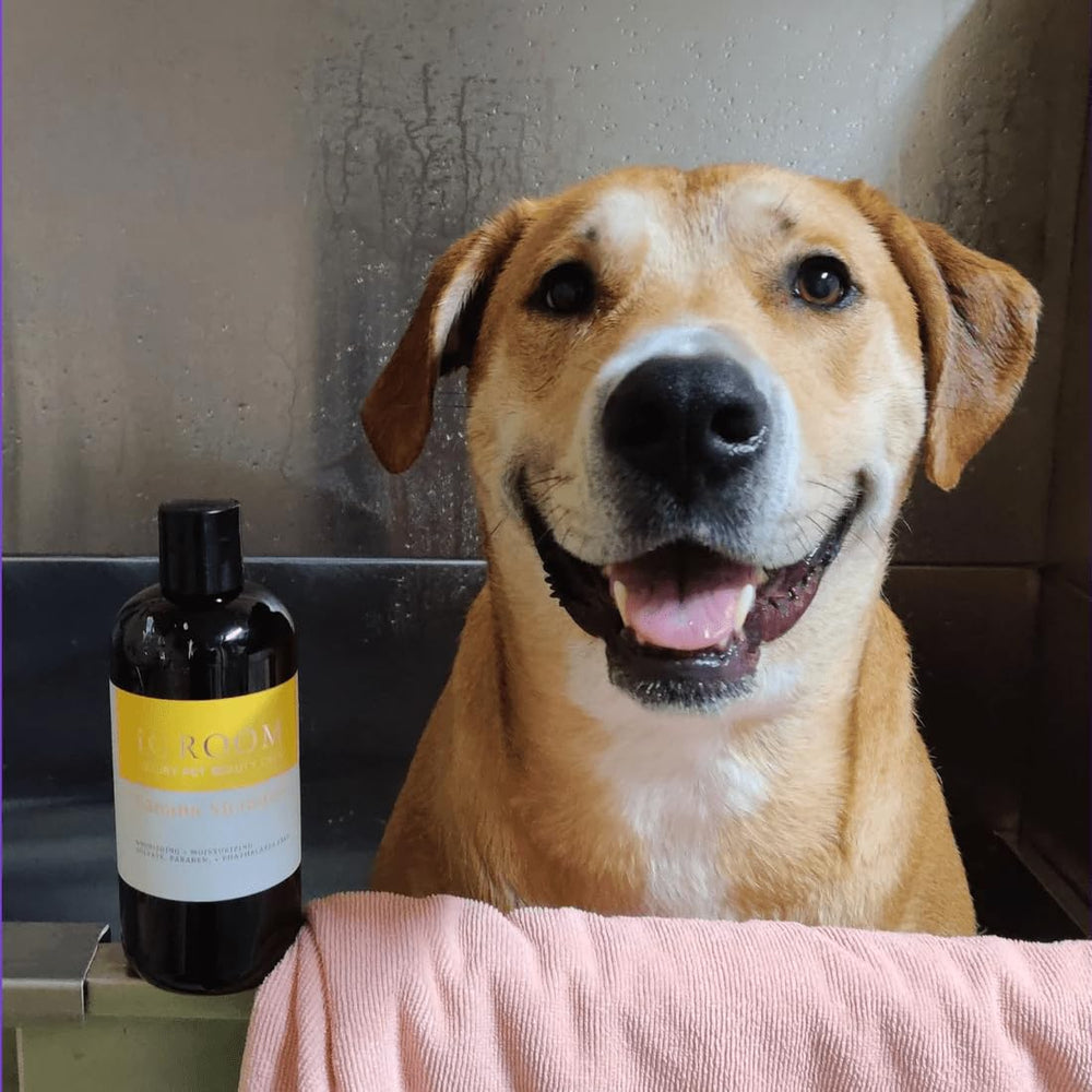 iGroom Banana Dog Shampoo ingredients highlight banana and chamomile for calm grooming