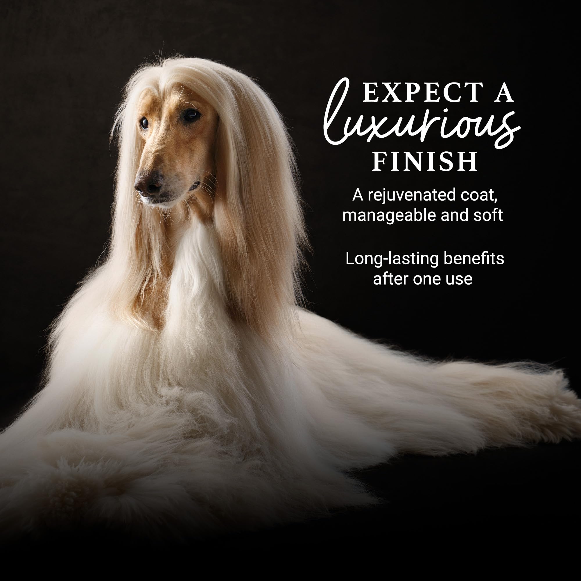 iGroom hands applying conditioner during grooming session demonstrates easy use