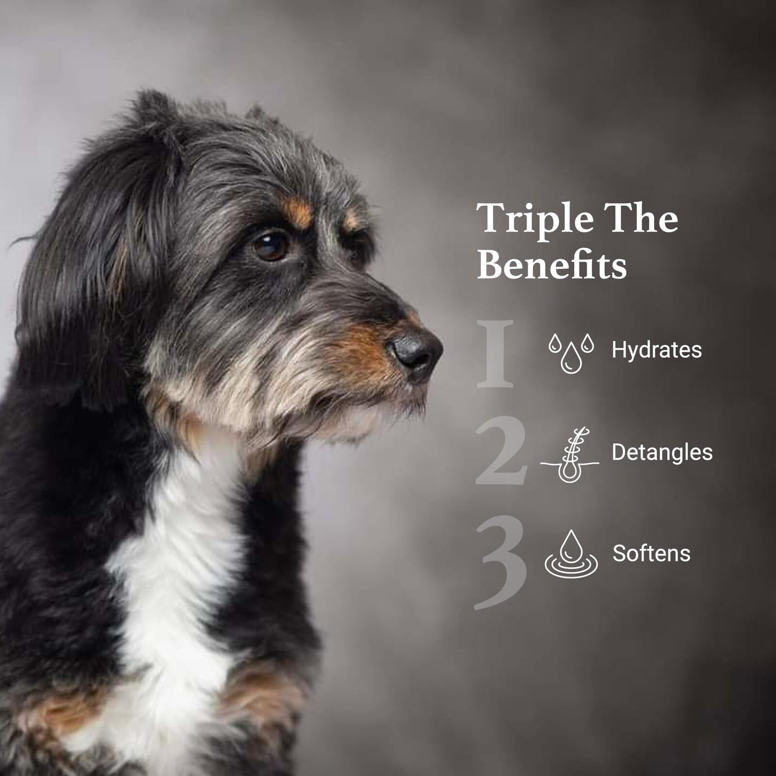 iGroom hydrating coat care nourishing fur to reduce dryness.