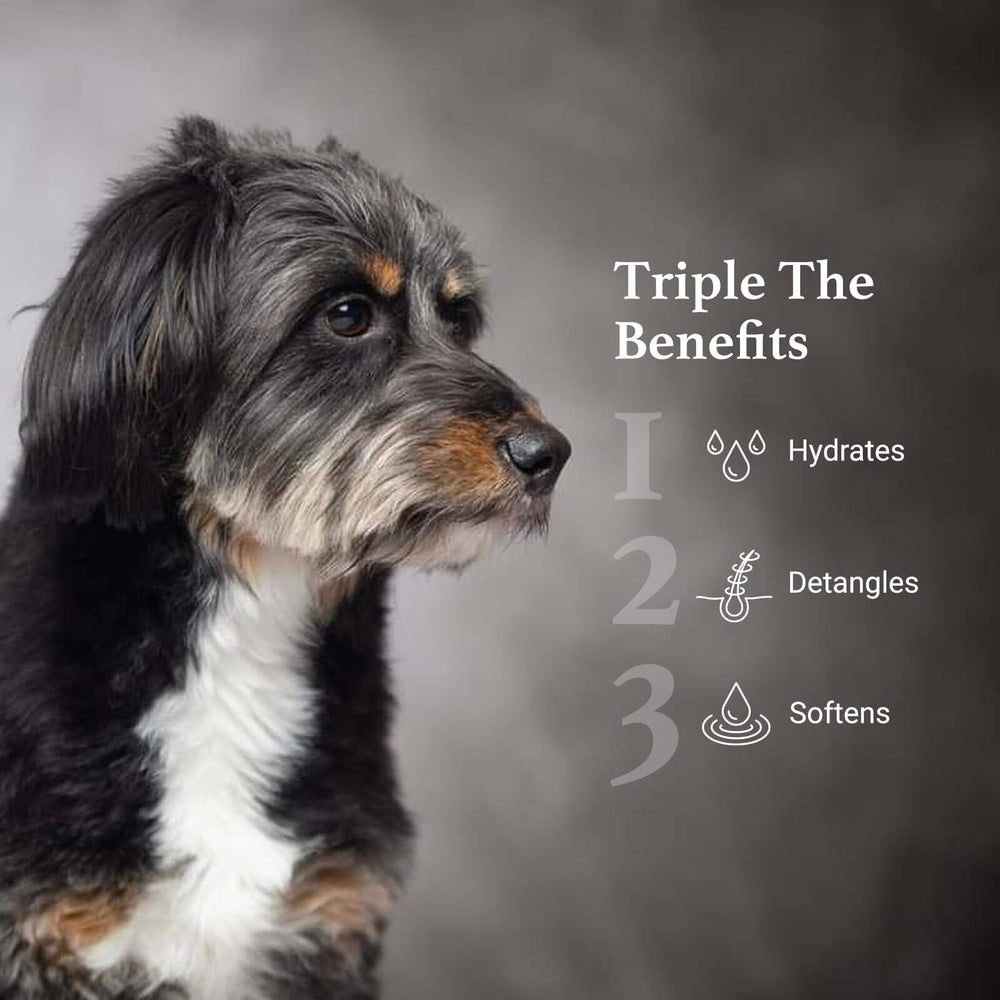 iGroom hydrating coat care nourishing fur to reduce dryness.