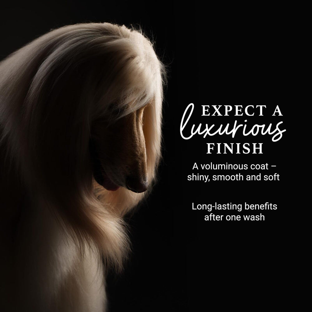 igroom paraben-free sulfate-free formula supports healthy fur