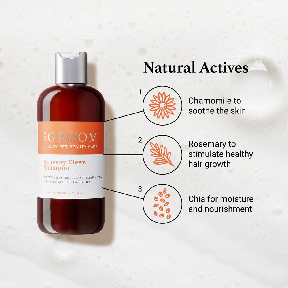 iGroom Squeaky Clean chia moisture highlights coat hydration. 