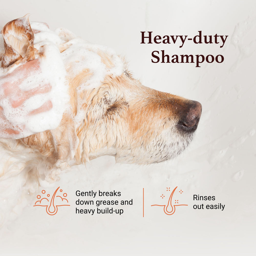 iGroom Squeaky Clean foam lather provides thorough cleansing.