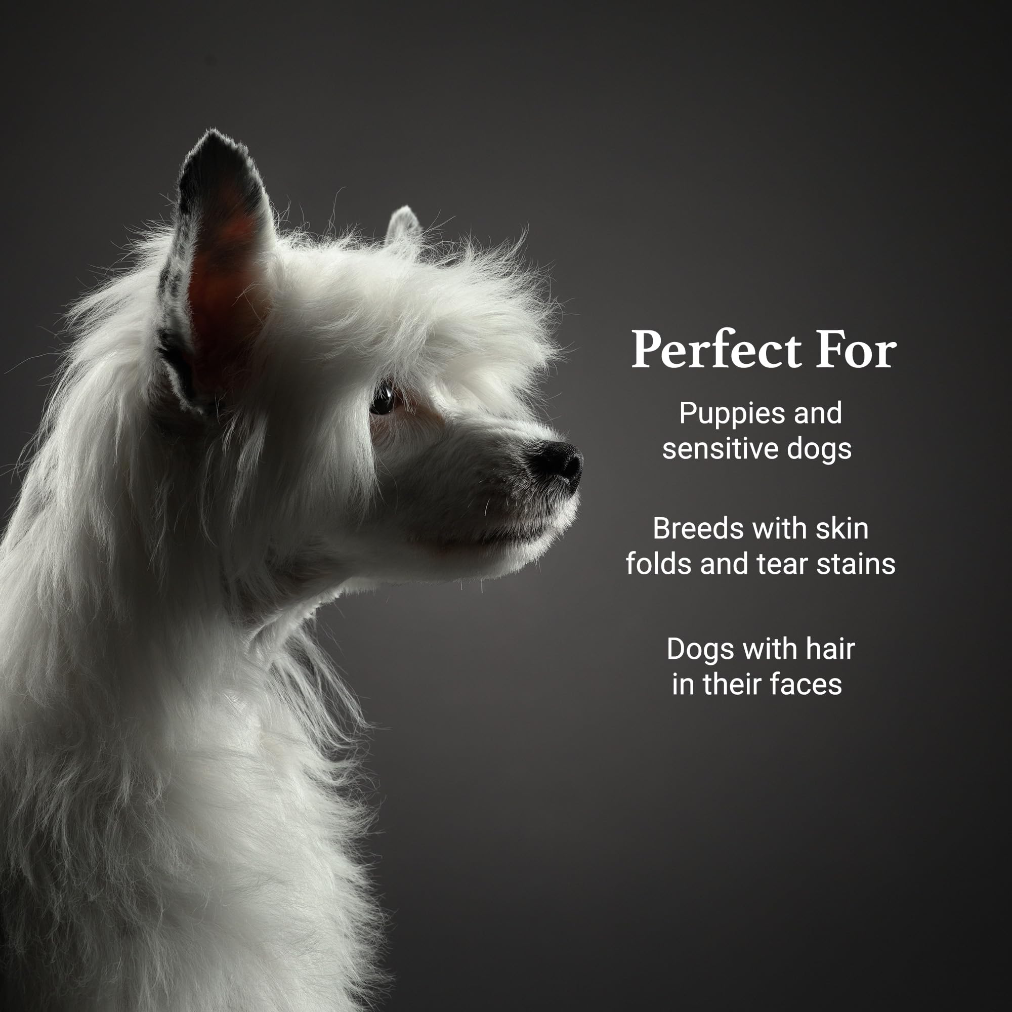 iGroom luxury-pet-care-shampoo label conveys premium quality and salon-grade results at home.