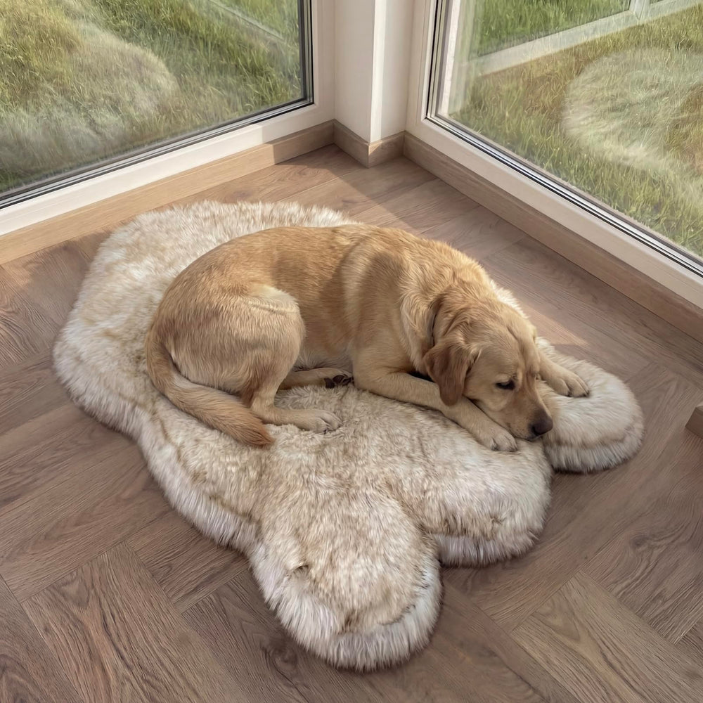 IHAPPYDOG luxury faux fur orthopedic bed for peaceful naps