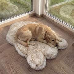 IHAPPYDOG luxury faux fur orthopedic bed for peaceful naps