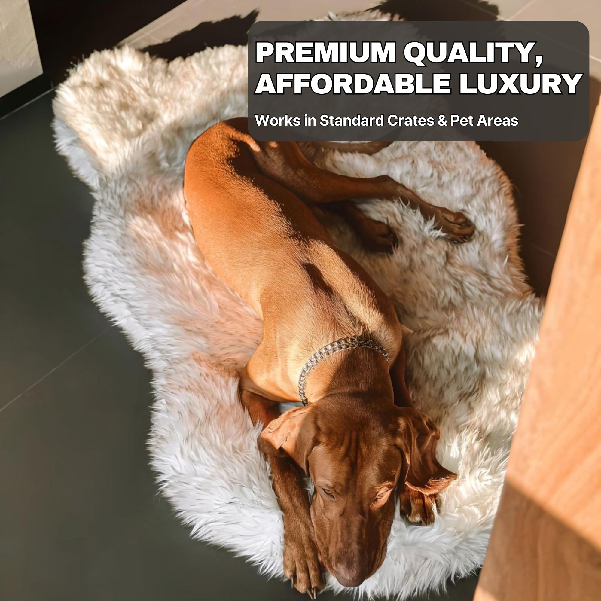 IHAPPYDOG medium 40x25 bed balances room decor and comfort