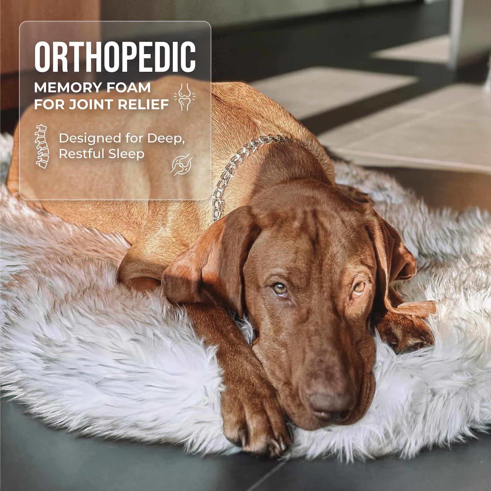 IHAPPYDOG protective detachable layer guards the memory foam