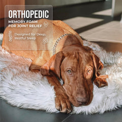 IHAPPYDOG protective detachable layer guards the memory foam