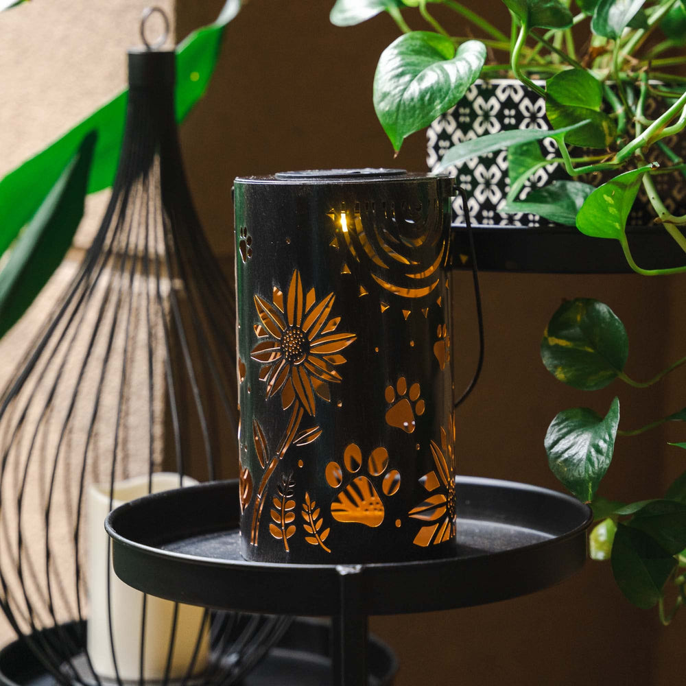 iHeartDogs 8inch-diameter-lantern highlights a decorative glow.