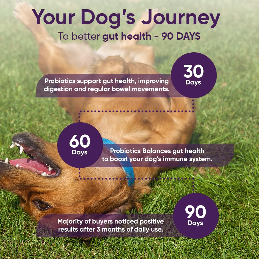 iHeartDogs allergen-friendly packaging with grain-free, gluten-free, soy-free label on packaging.