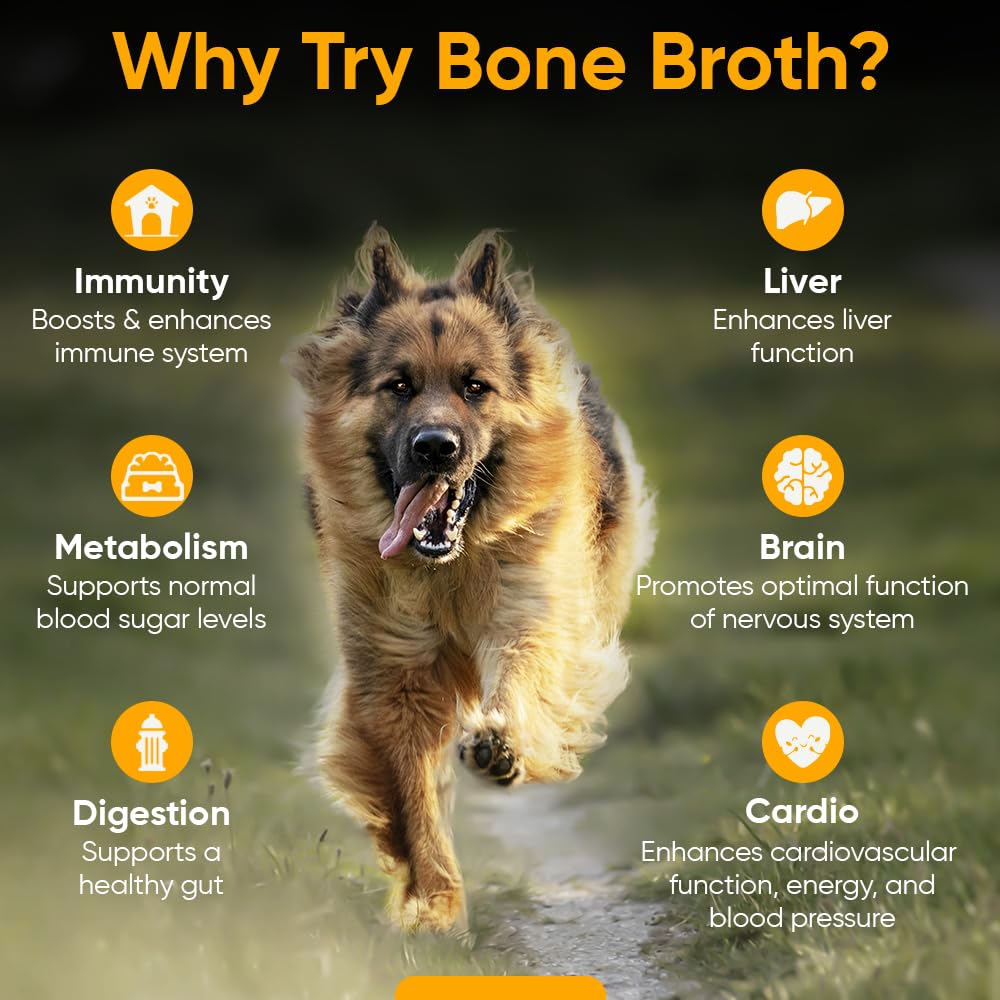 iHeartDogs dog bowl with broth mix highlighting hydration and gut wellness