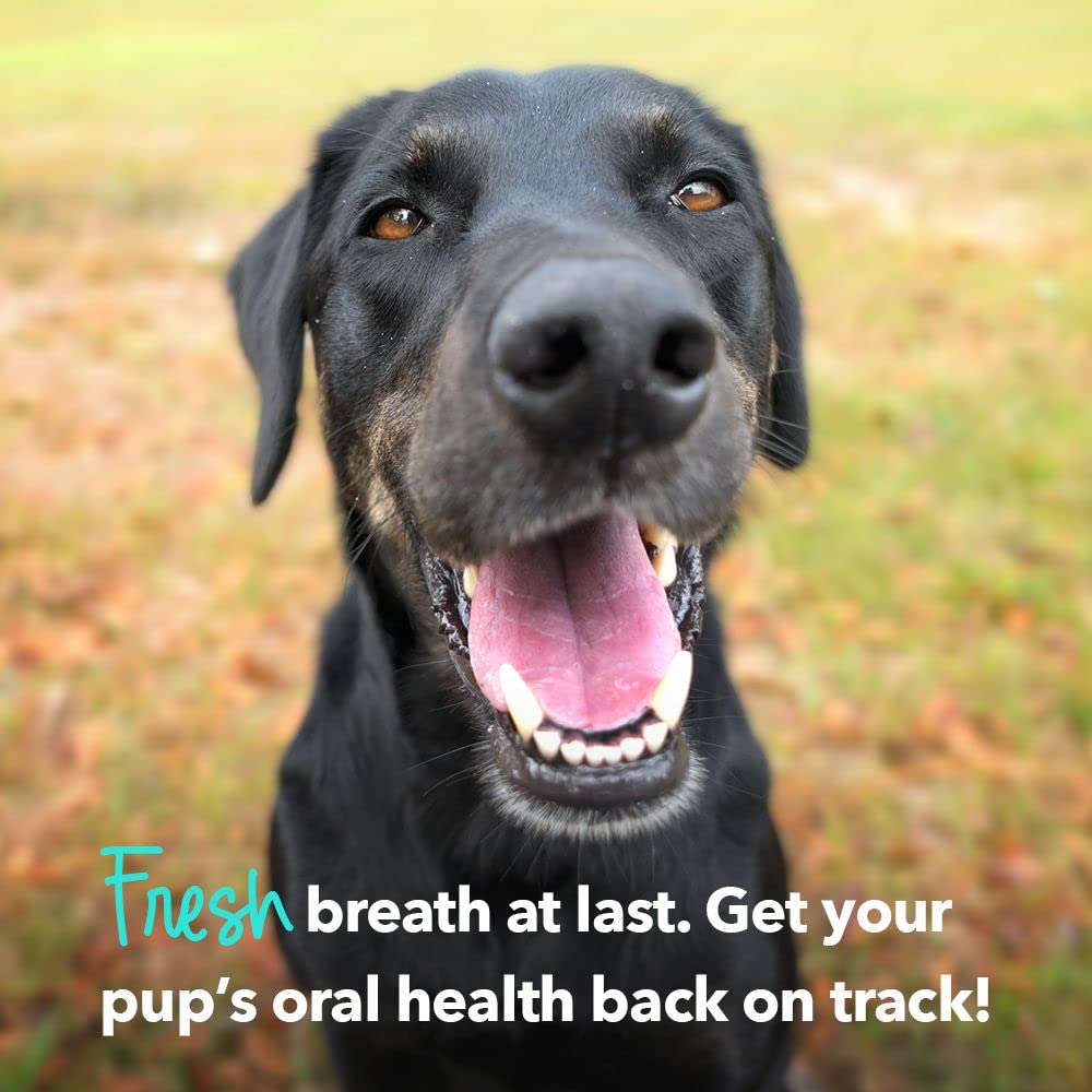 iHeartDogs Brushy Sticks parsley aroma for fresh breath.