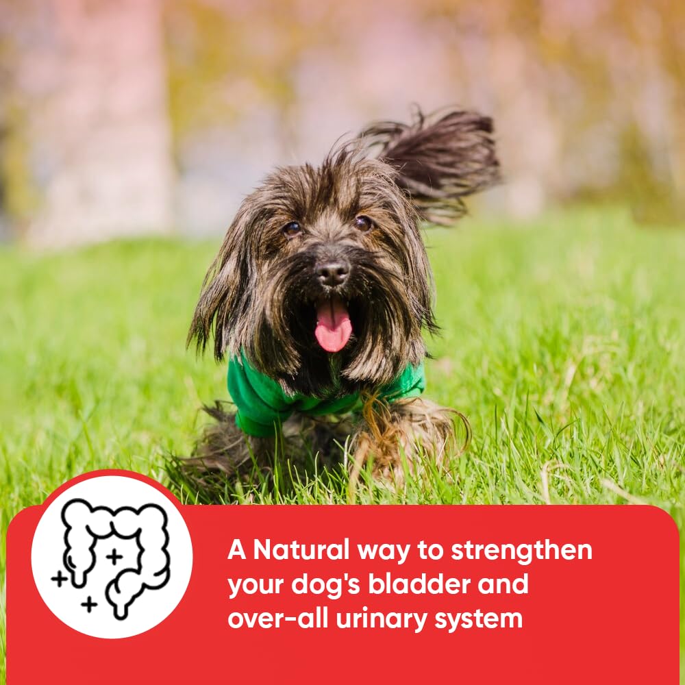 iHeartDogs d-mannose-cranberry capsules closeup for urinary health support.
