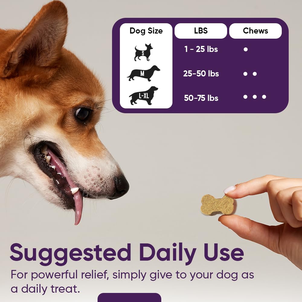 iHeartDogs probiotic-digestive-enzymes chew on a countertop beside a measuring scoop, implying easy daily use.