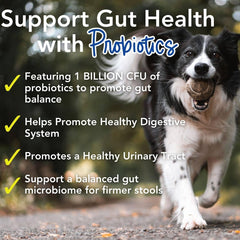 iHeartDogs glucosamine chondroitin calcium powder beside scoop aids joints.