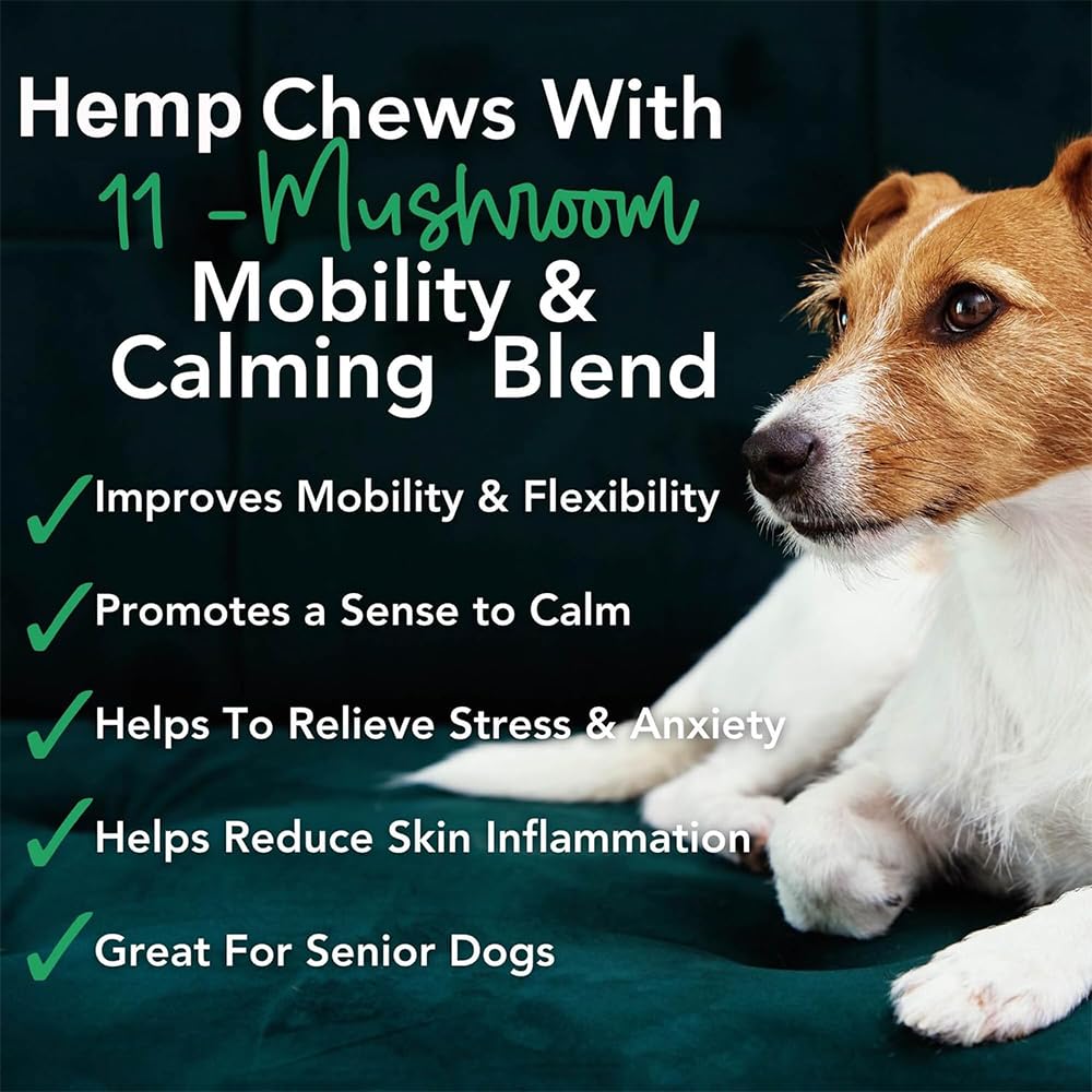 Turkey Tail mushroom visual on iHeartDogs chews indicating joint support