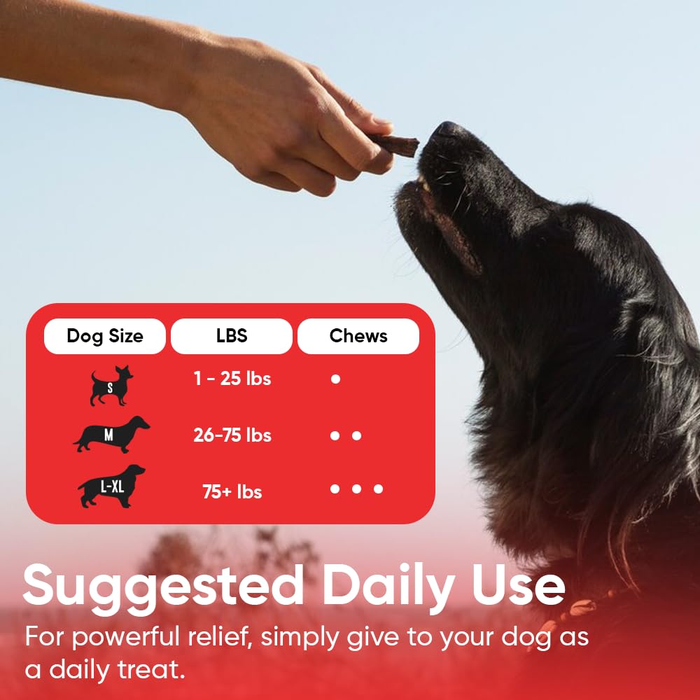 iHeartDogs herbal bladder-kidney boost bottle supports kidney comfort with astragalus.
