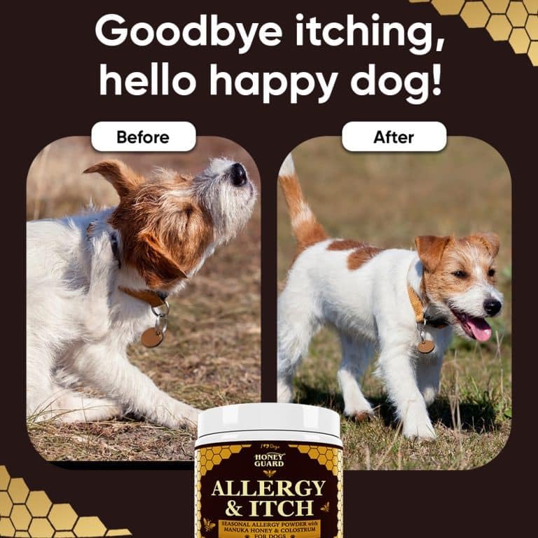 iHeartDogs Honey Guard probiotic blend shown with dog meal bowl for gut support