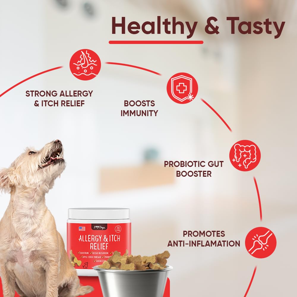 iHeartDogs Immune Support for Dogs highlighting overall wellness and digestion