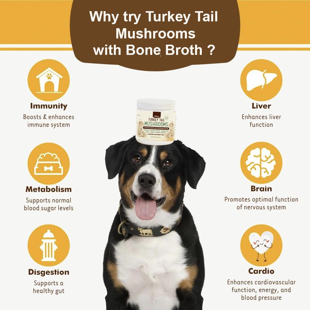 iHeartDogs immunity-support dog supplement promoting balanced immune function