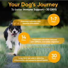 iHeartDogs mushroom gold powder being spooned over food for immune health