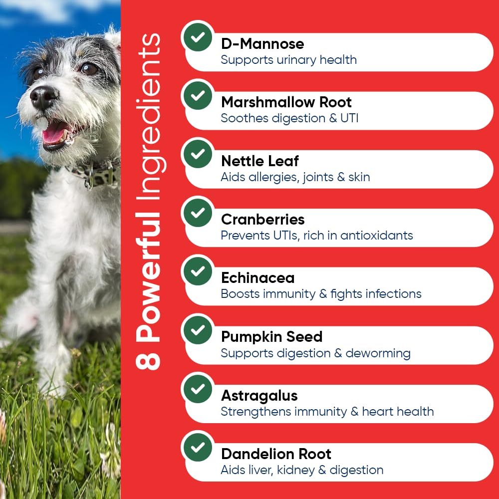 iHeartDogs organic ingredients bottle showcases echinacea and pumpkin seeds.