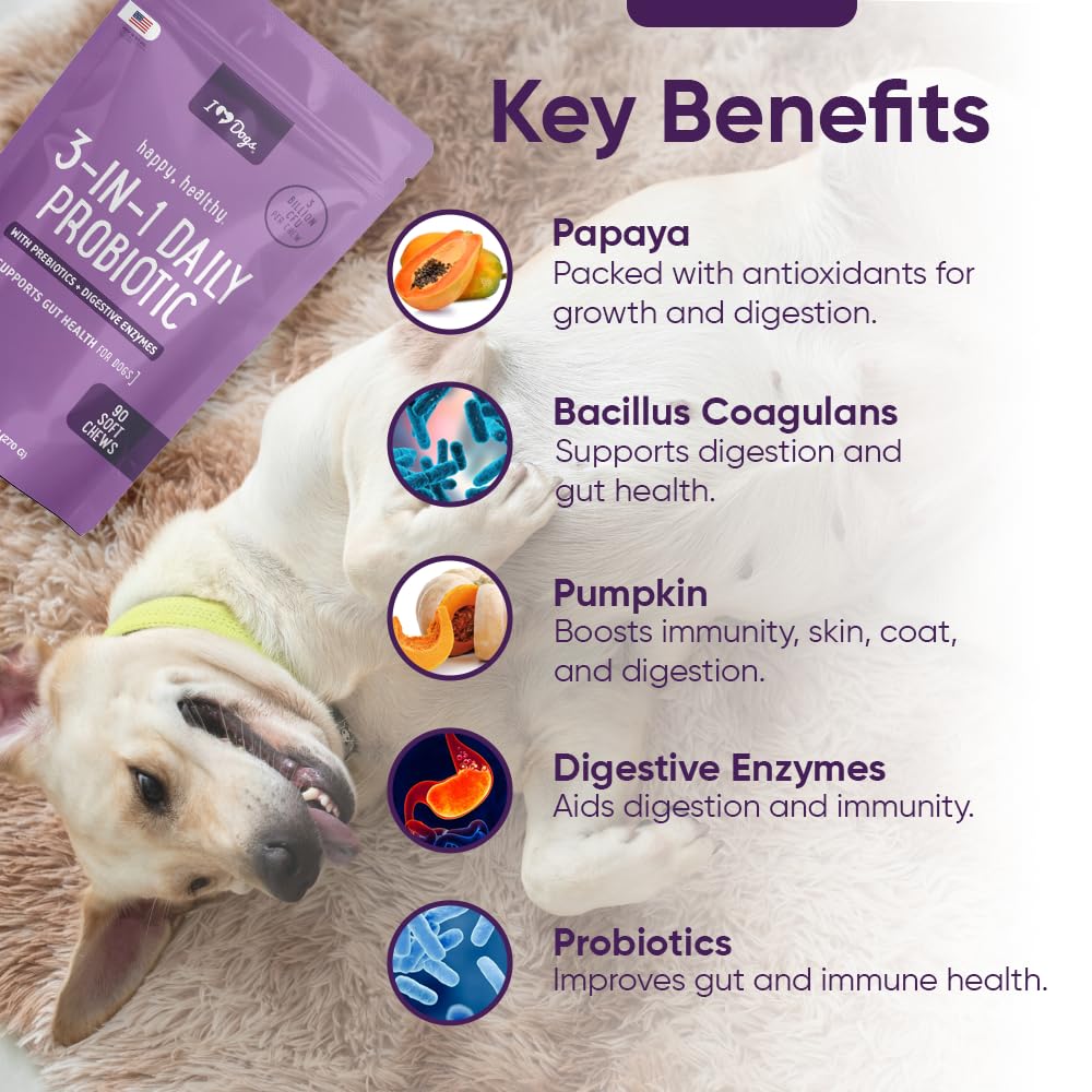 iHeartDogs pumpkin-and-papaya formula chew with fresh ingredients displayed for gut-friendly nutrition.
