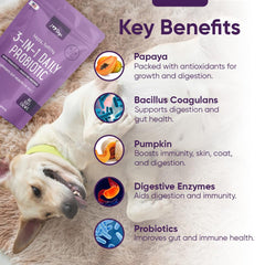 iHeartDogs pumpkin-and-papaya formula chew with fresh ingredients displayed for gut-friendly nutrition.