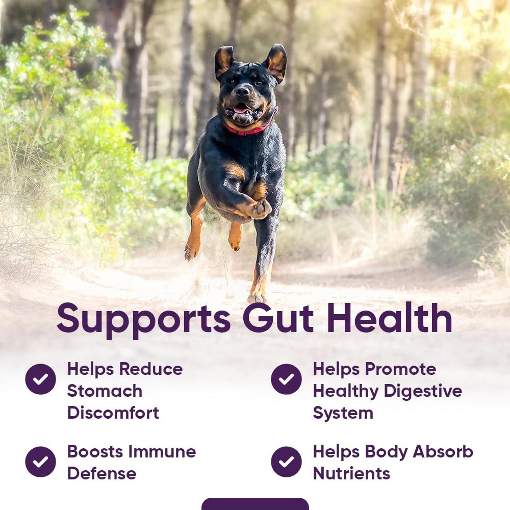 iHeartDogs pumpkin-probiotic-immune-support chew on a hand, suggesting immune-system-friendly benefits.